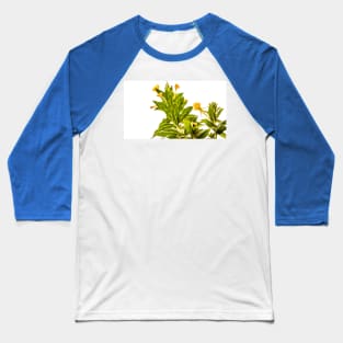 Herb Baseball T-Shirt